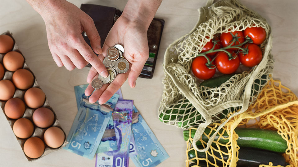 Le coût de la vie au Canada : ce que les ménages dépensent réellement ...